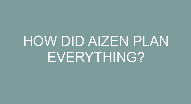 How Did Aizen Plan Everything?