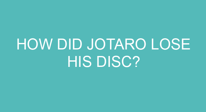 How Did Jotaro Lose His Disc?