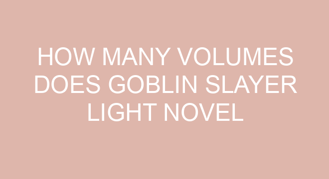 How does Goblin Slayer end?