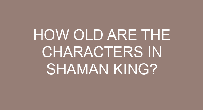 Will Shaman King 2021 have a Season 2?