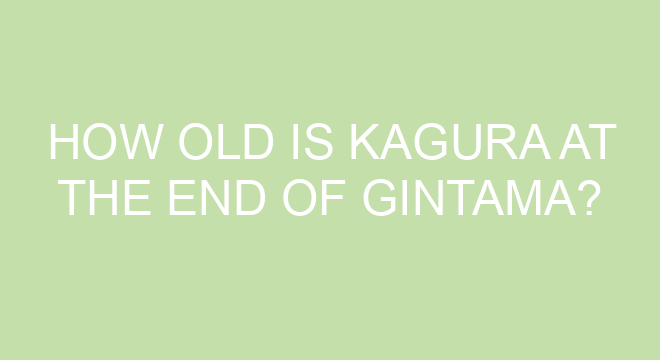 Who is Katsura Gintama based on?