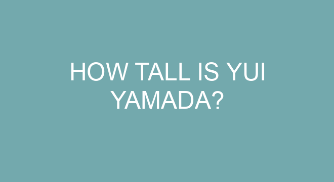 What does Yamada mean in Spanish?