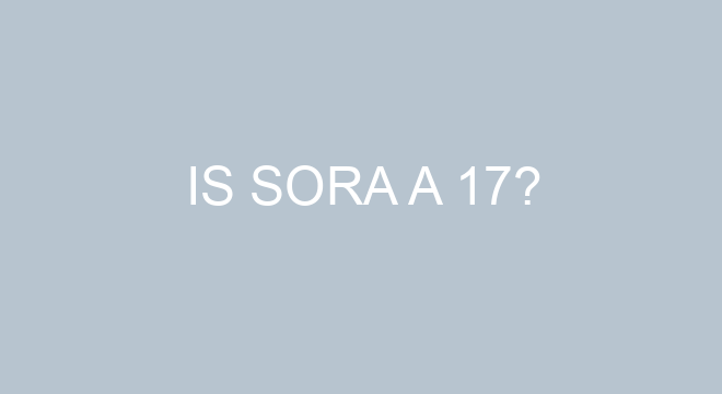 Is Sora a Shiro?