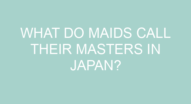 What was Macross called in the US?
