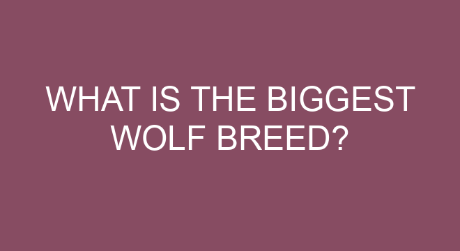 what is the biggest wolf breed 386