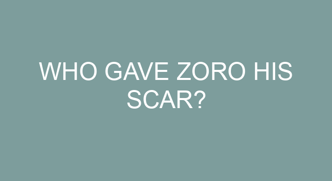 Who Gave Zoro His Scar?