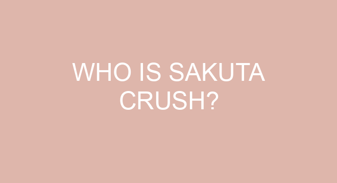 What does nice Sakuga mean?