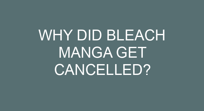 What Bleach is canon?