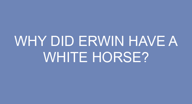 What did Erwin tell Levi?