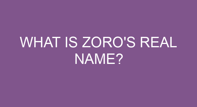 Who is Zoros dub VA?