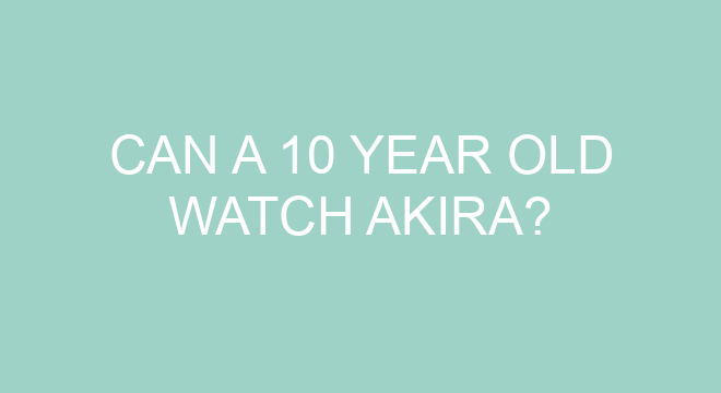 Who is Akari in Beyblade burst?