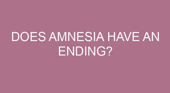 What happened in amnesia anime?