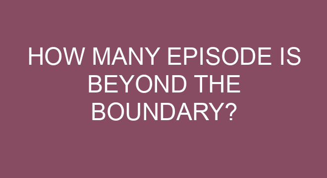 What type of anime is beyond the boundary?
