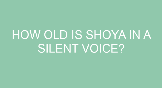 Who is Shoya in love with?