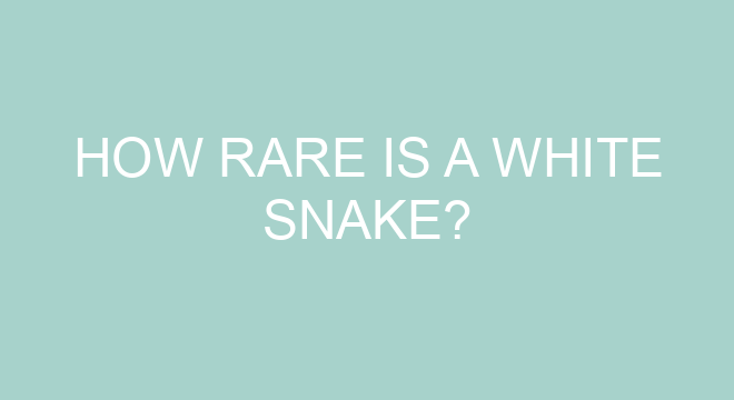 What is the cutest snake?