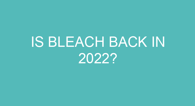 What year did Bleach end?