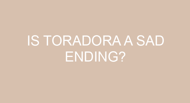 Did toradora light novel end?