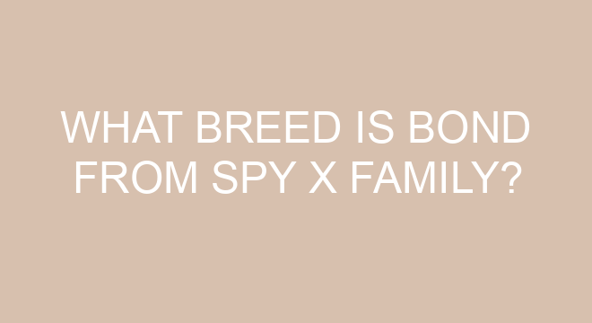 Is Spy x Family ended?