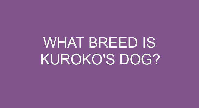 Which NBA player is Kuroko?