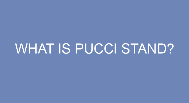 What Is Pucci Stand?