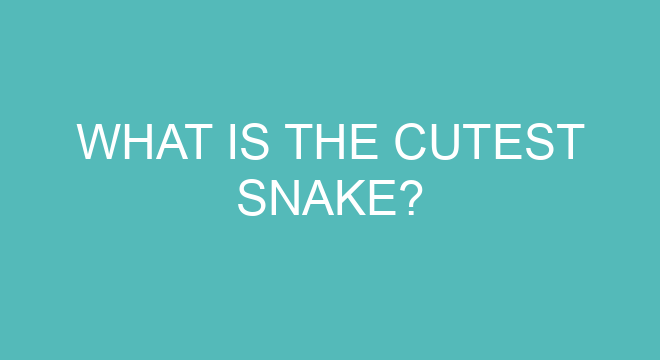 How rare is a white snake?