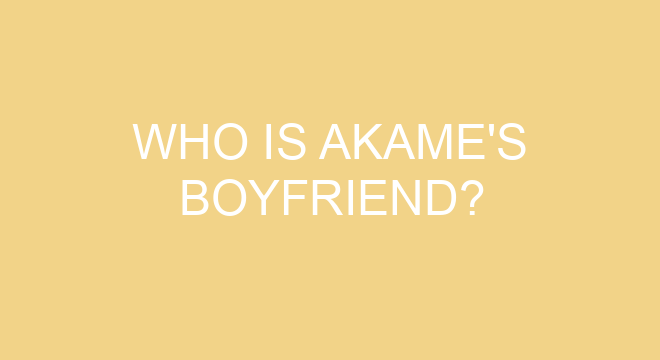 Why is it called Akame ga Kill?