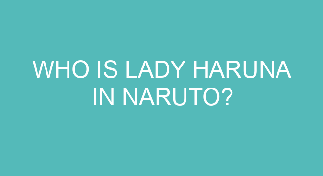 Who is Haruka love interest?