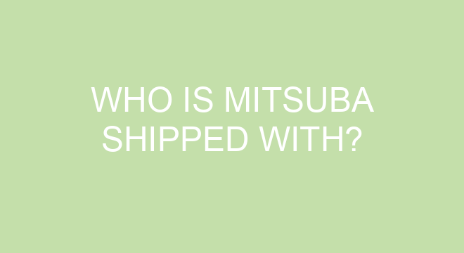Why did Misato pick up Shinji?