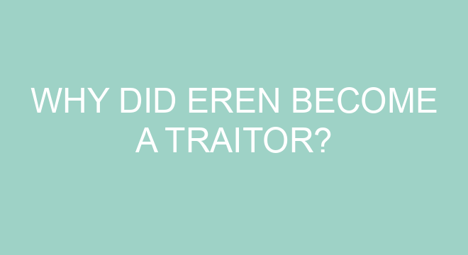 Is Eren a villain?