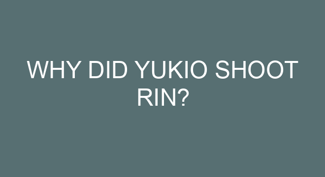 Who Mikasa marry?